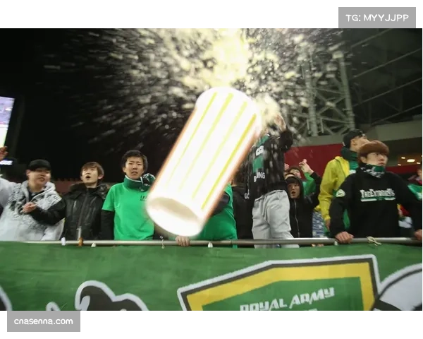 球场暴力事件频发，法国足协主席呼吁加强安保与球迷管理